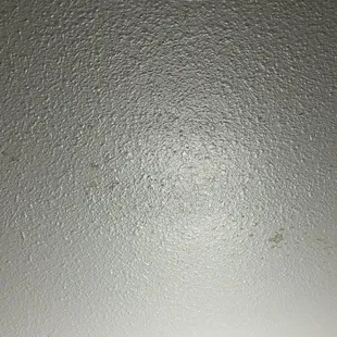 More food on ceiling