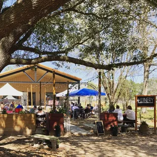 a group of people sitting under a tree