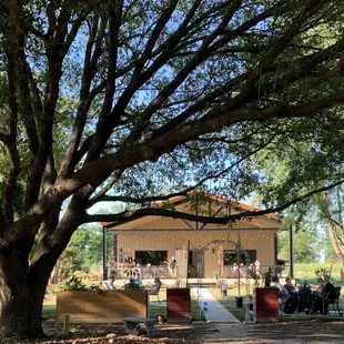 a group of people sitting under a tree