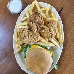 food, oysters, oysters and mussels, mussels, shellfish