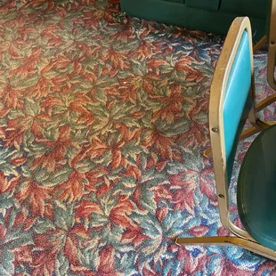 Freshly cleaned carpets!