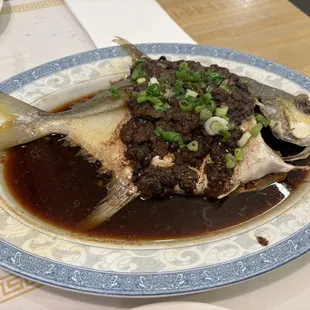 C2 Soy Sauce Formfret Fish