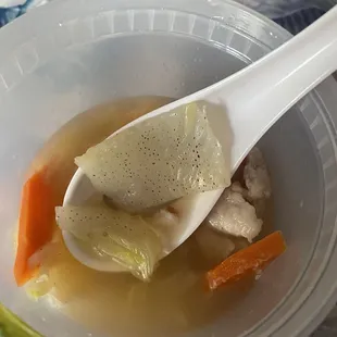Moldy cabbage from wonton soup