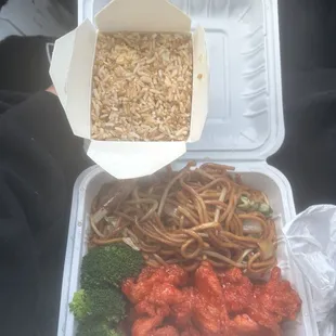 S2. Orange Flavor Chicken