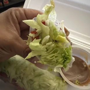 Spring Roll