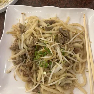 Udon Noodles