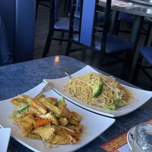 Family Style Tofu/ Vegetable Chow Mein