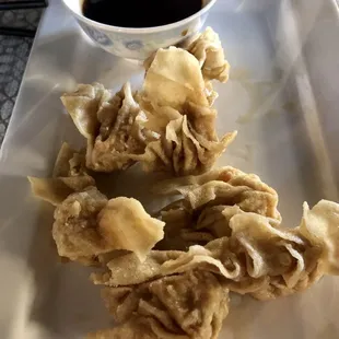 Fried Dumplings