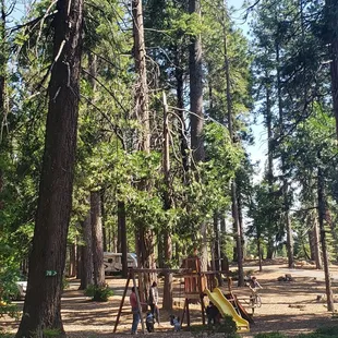 Kids playing on playground