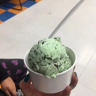 Mint chocolate chip ice cream. Super yummy. This was replaced with the old tasting chocolate brownie ice cream.