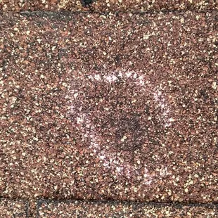 Hail Damaged Shingle