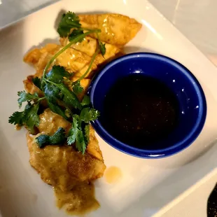 Pot stickers in mild curry