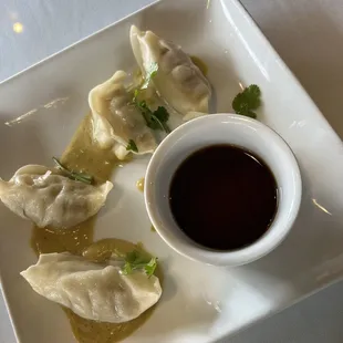 Chicken dumplings