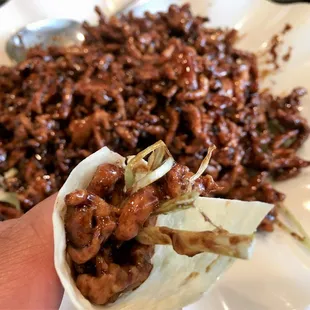 a hand holding a plate of food