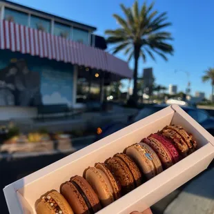 Assorted Macarons