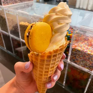 Old Fashion Vanilla Ice Cream Waffle Cone