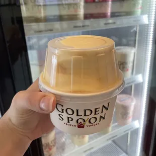 Regular Mango sorbet