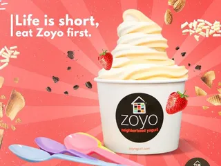 Zoyo Frozen Yogurt Desert Ridge