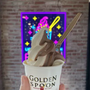 Chocolate vanilla swirl