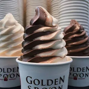 Old Fashion Vanilla, Chocolate Gelato Swirl