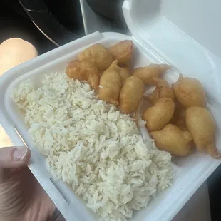 Sweet and sour chicken