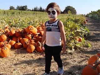 Smith Family Farms