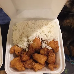 Sesame chicken. Not many sesame seeds... tasted like orange chicken but I like orange chicken so it was fine.