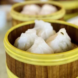 S25 / Shrimp Dumpling w/Cilantro