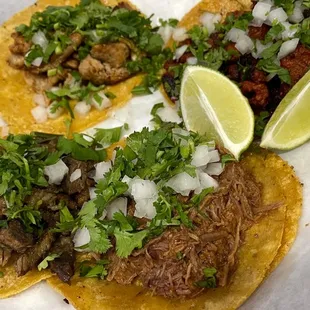 Pastor, Pollo, Birria and Carne Asada
