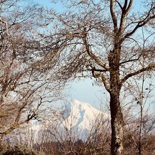 a view of a mountain in the distance