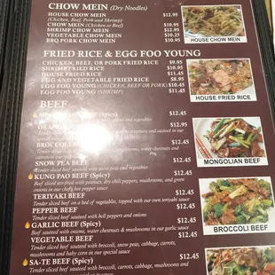 Menu: Lo mein/chow mein/fried rice/beef page. Sorry about the glare.