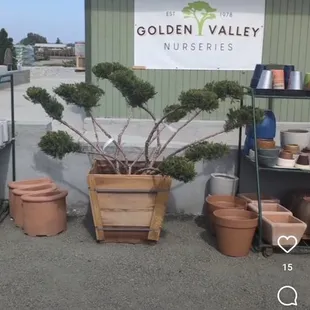 New Location