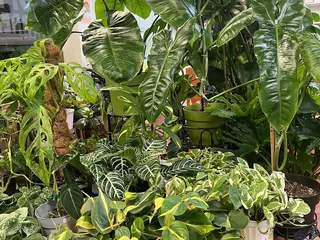 Happy Home Garden
