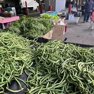 green beans for sale