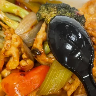 C19. Szechuan Chicken Combination Platter