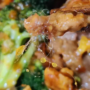 There is no way this was an accident