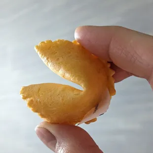 Fortune cookie