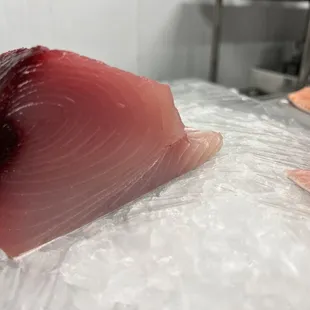 Fresh Albacore Tuna