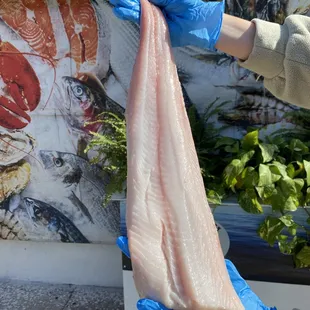 Sable Fish from Norway