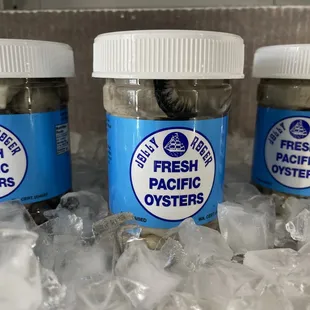 Shucked Pacific Oysters