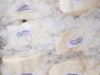 Tropical Seafoods