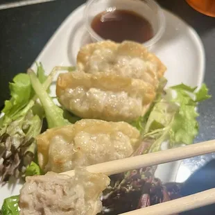 Gyoza