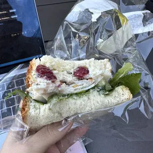 Cranberry Turkey Pesto Sandwich