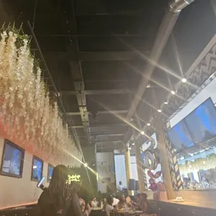 Back half of establishment