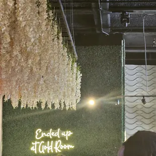 Picture Wall/Green Walll