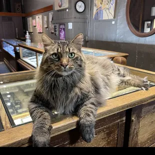 The latest addition to the Goldsmith family, Finn.