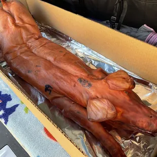 Pick up the pig for camping