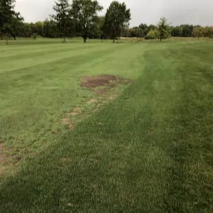 The greens weren't much better