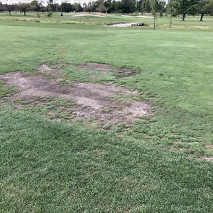 Just one of the fairways