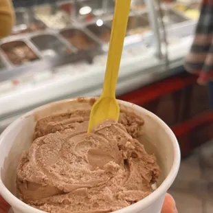 a hand holding a cup of gelato